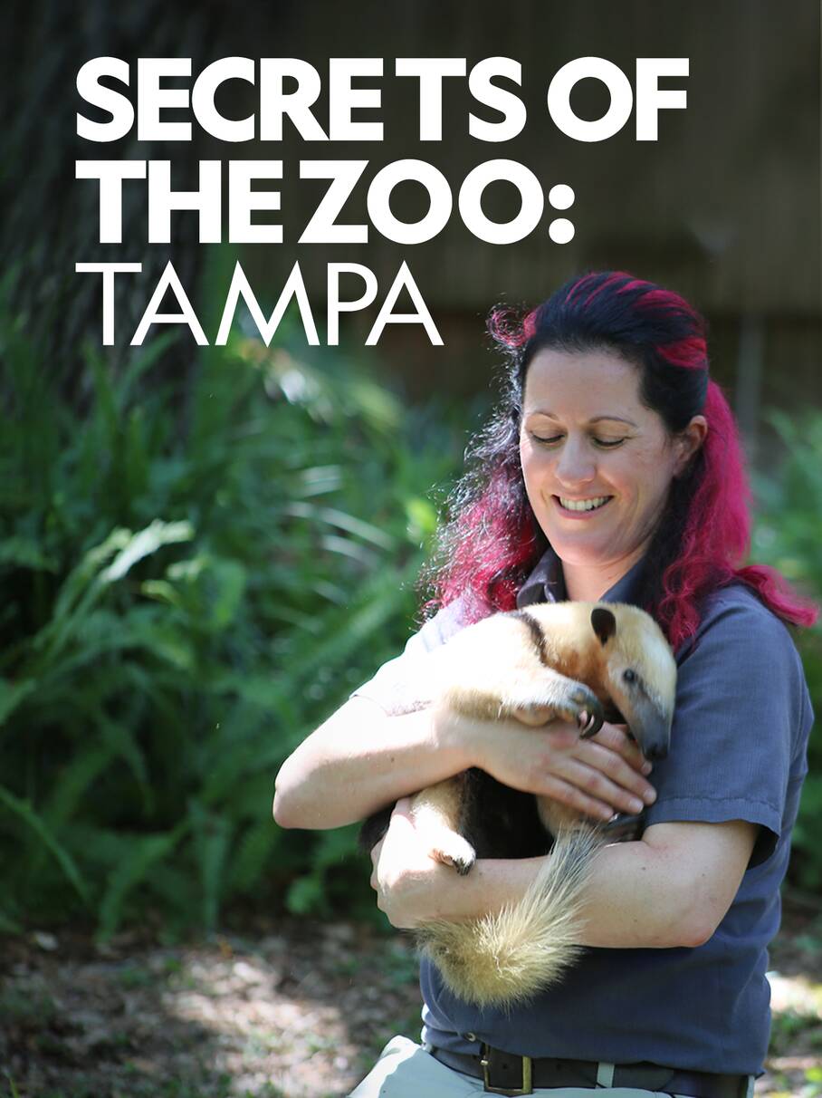 TV ratings for Secrets Of The Zoo: Tampa in the United States. National Geographic TV series