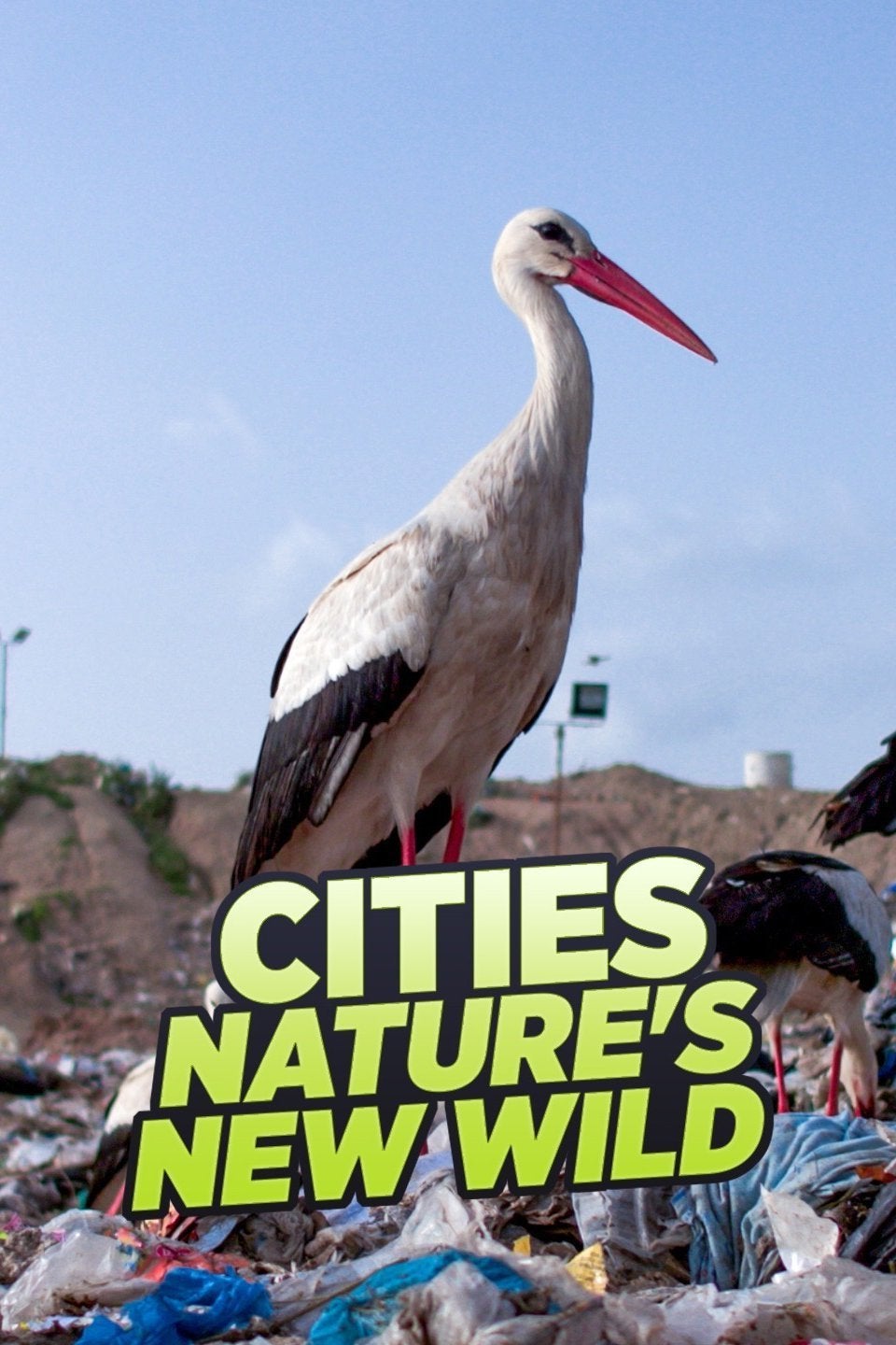 TV ratings for Cities: Nature's New Wild in the United States. BBC Two TV series
