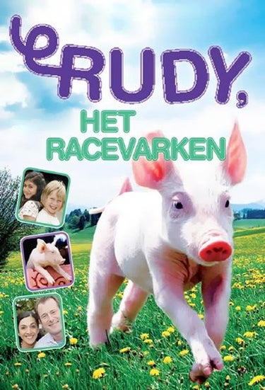Rudi The Racing Pig