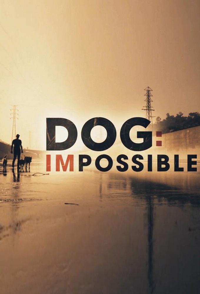 TV ratings for Dog: Impossible in Ireland. National Geographic TV series