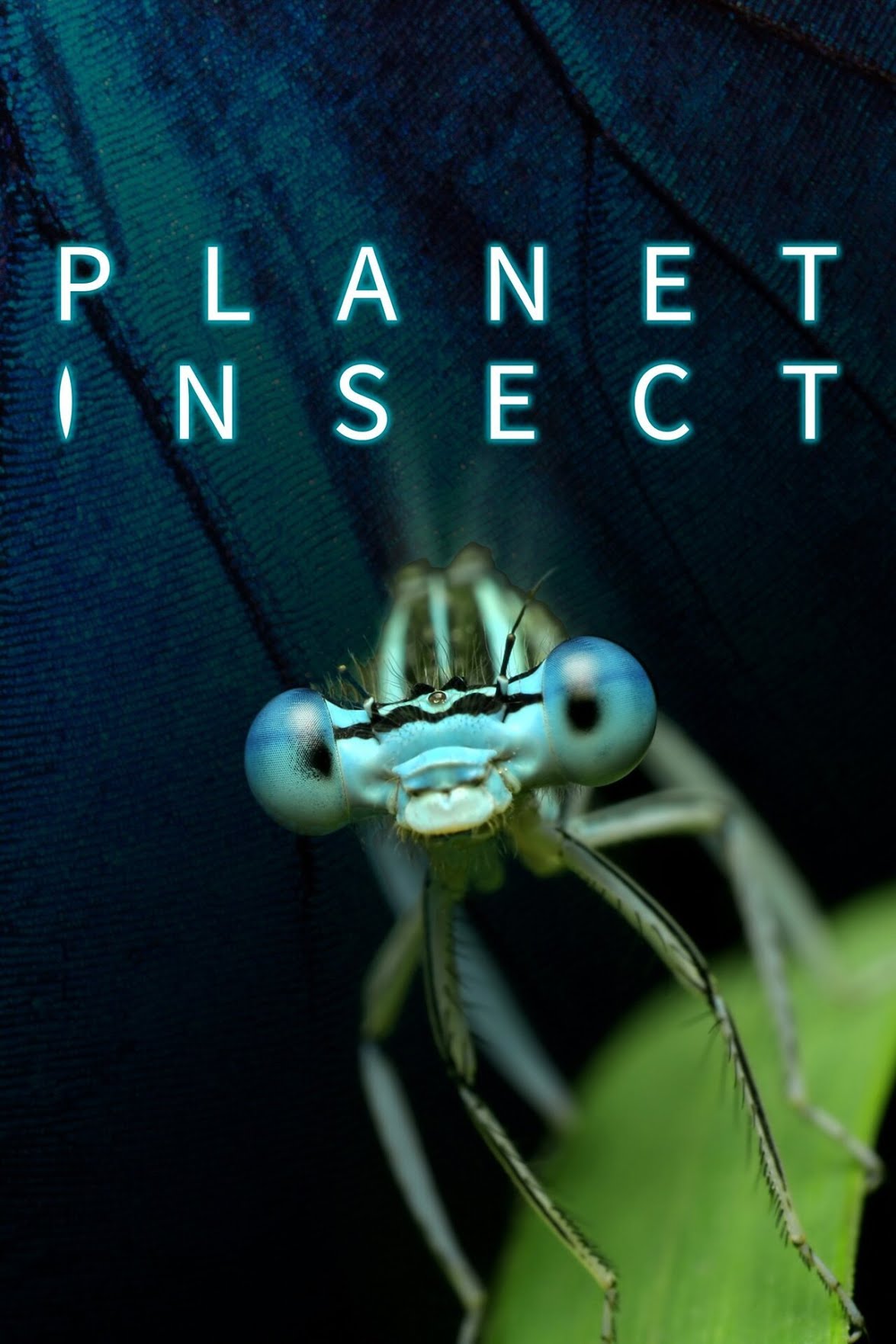 TV ratings for Planet Insect in Denmark. JustWatch TV series