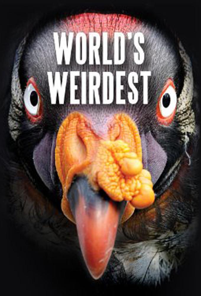 TV ratings for World's Weirdest in Canada. Nat Geo Wild TV series