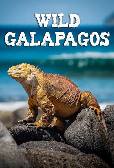 Wild Galapagos