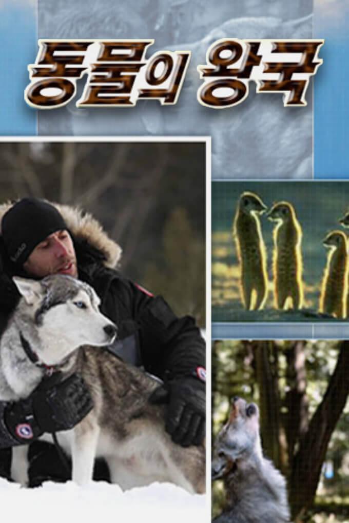 TV ratings for Animal Kingdom in Canada. KBS TV series