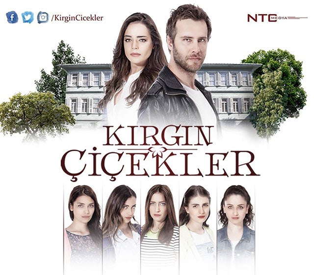 TV ratings for Orphan Flowers (Kırgın Çiçekler) in Denmark. ATV TV series