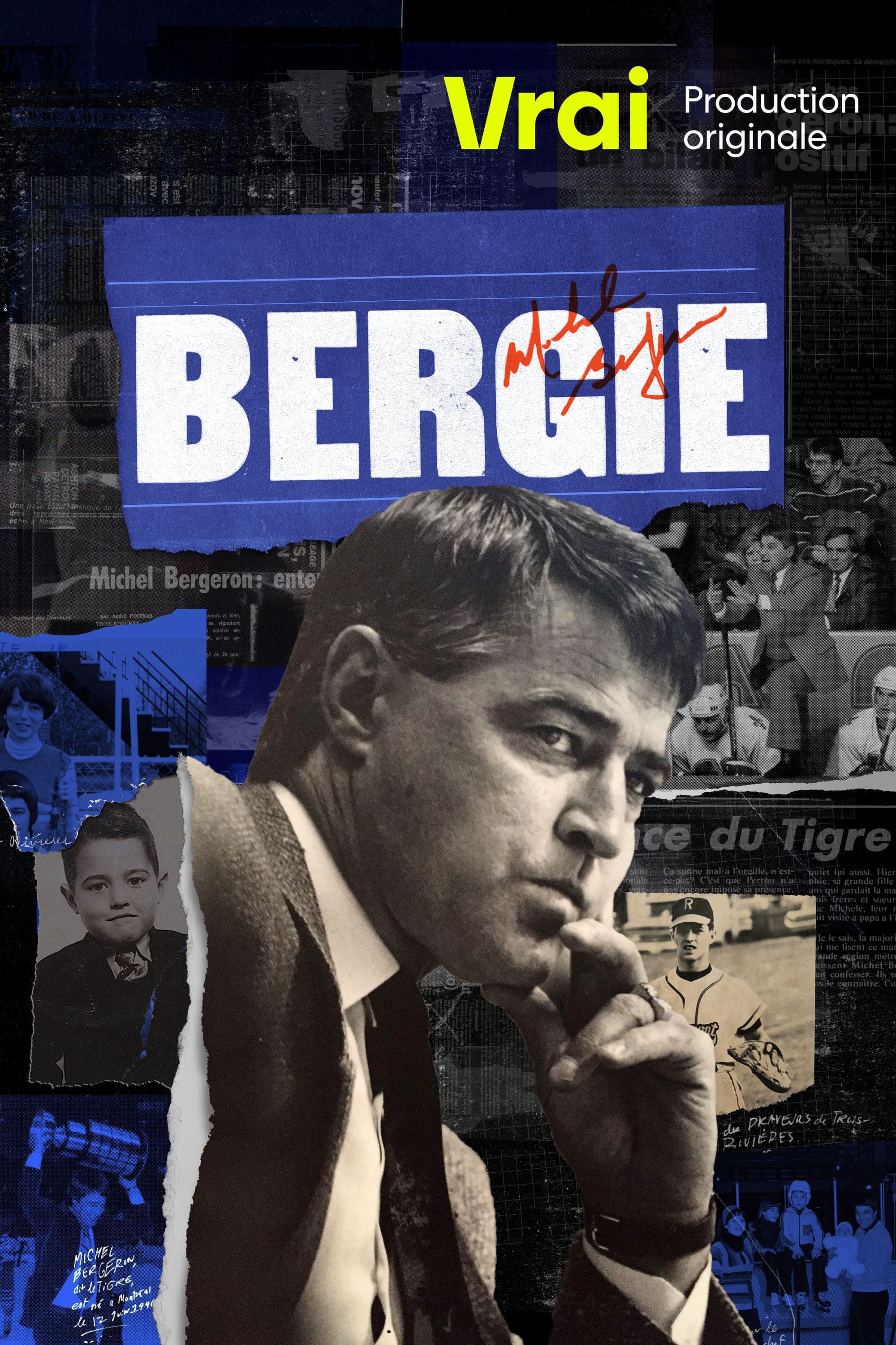 TV ratings for Bergie in France. Vrai TV series