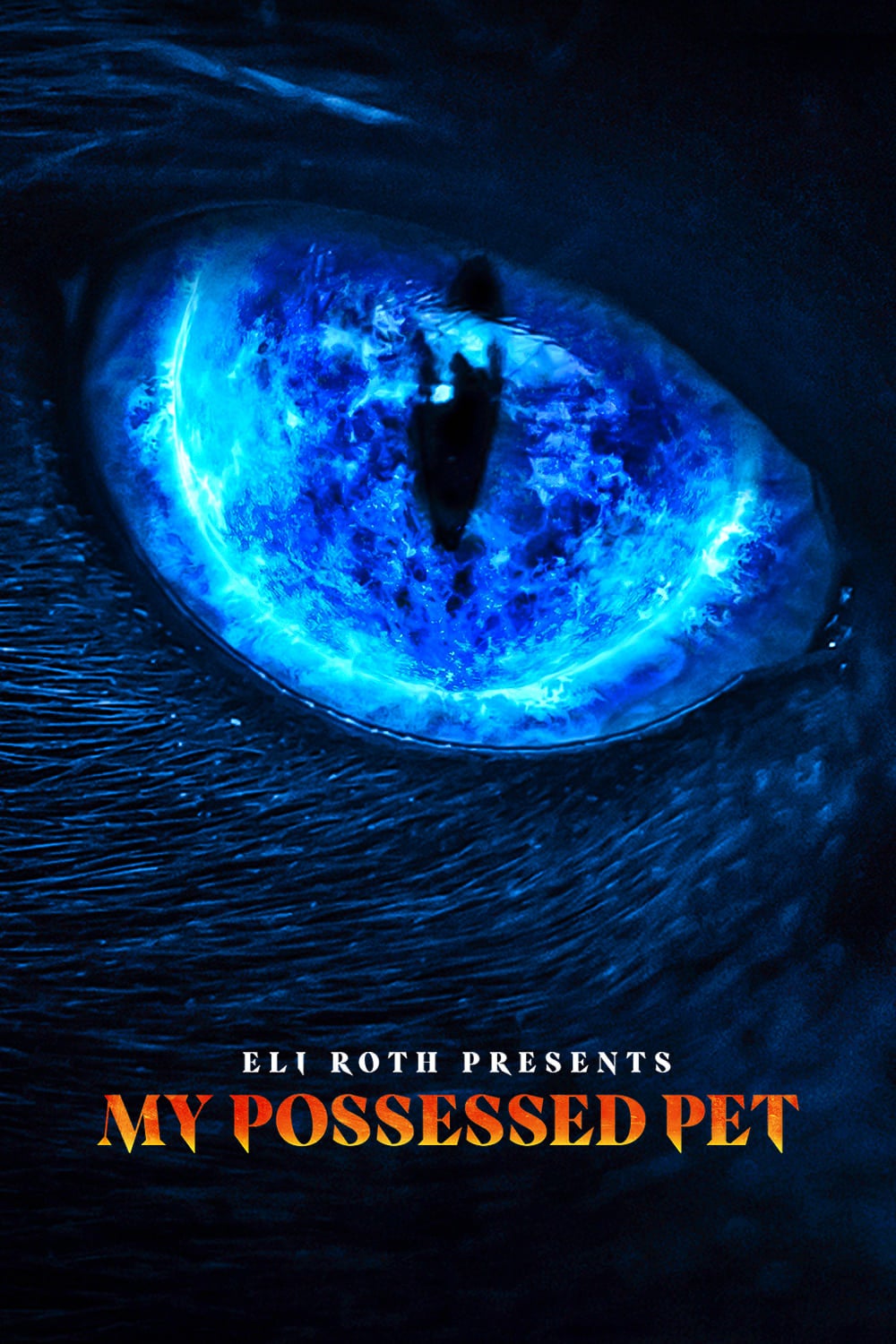 TV ratings for Eli Roth Presents: My Possessed Pet in Netherlands. travel channel TV series