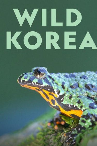 Wild Korea