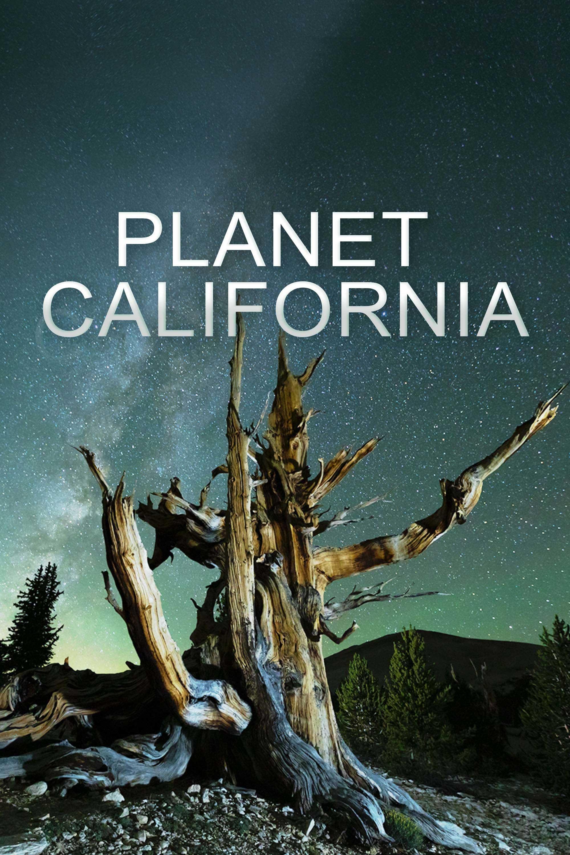 TV ratings for Planet California in the United Kingdom. PBS TV series