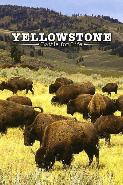 Yellowstone: Battle For Life