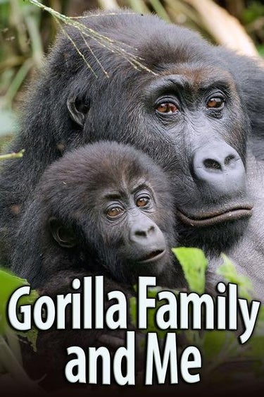 Gorilla Family & Me