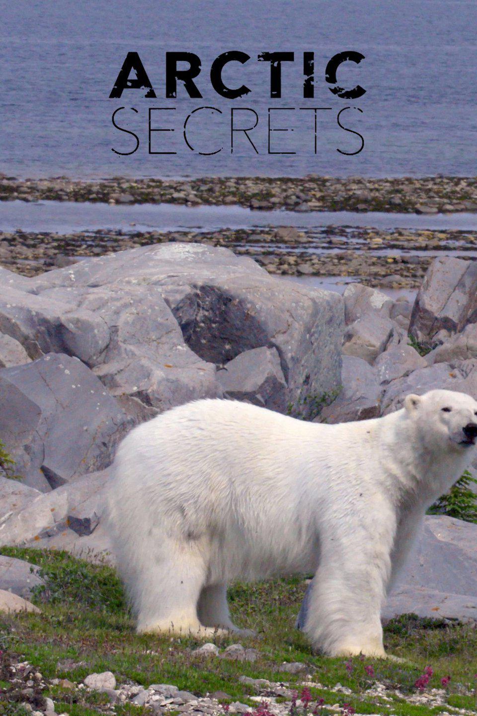 TV ratings for Arctic Secrets in Sweden. Sky Nature TV series