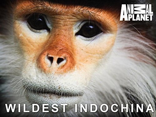 TV ratings for Wildest Indochina in Norway. Animal Planet TV series
