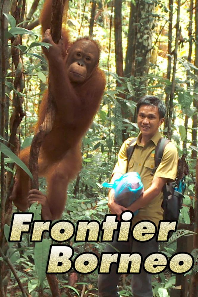 TV ratings for Frontier Borneo in Brazil. Discovery+ TV series