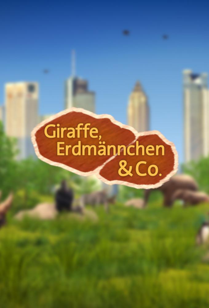 TV ratings for Giraffe, Erdmännchen & Co. in Chile. Das Erste TV series