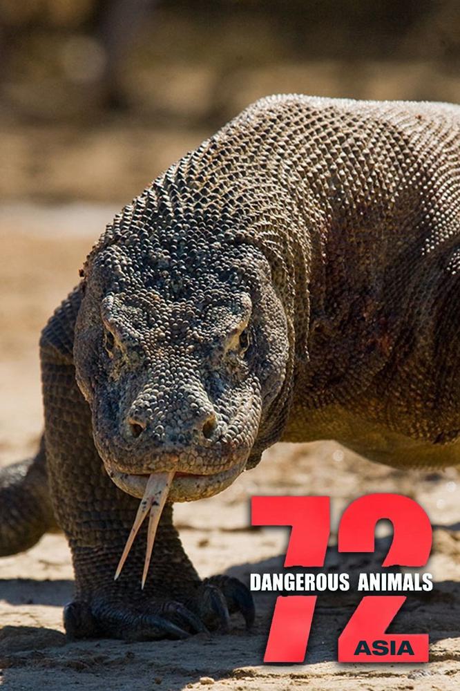 TV ratings for 72 Dangerous Animals: Asia in Chile. Netflix TV series