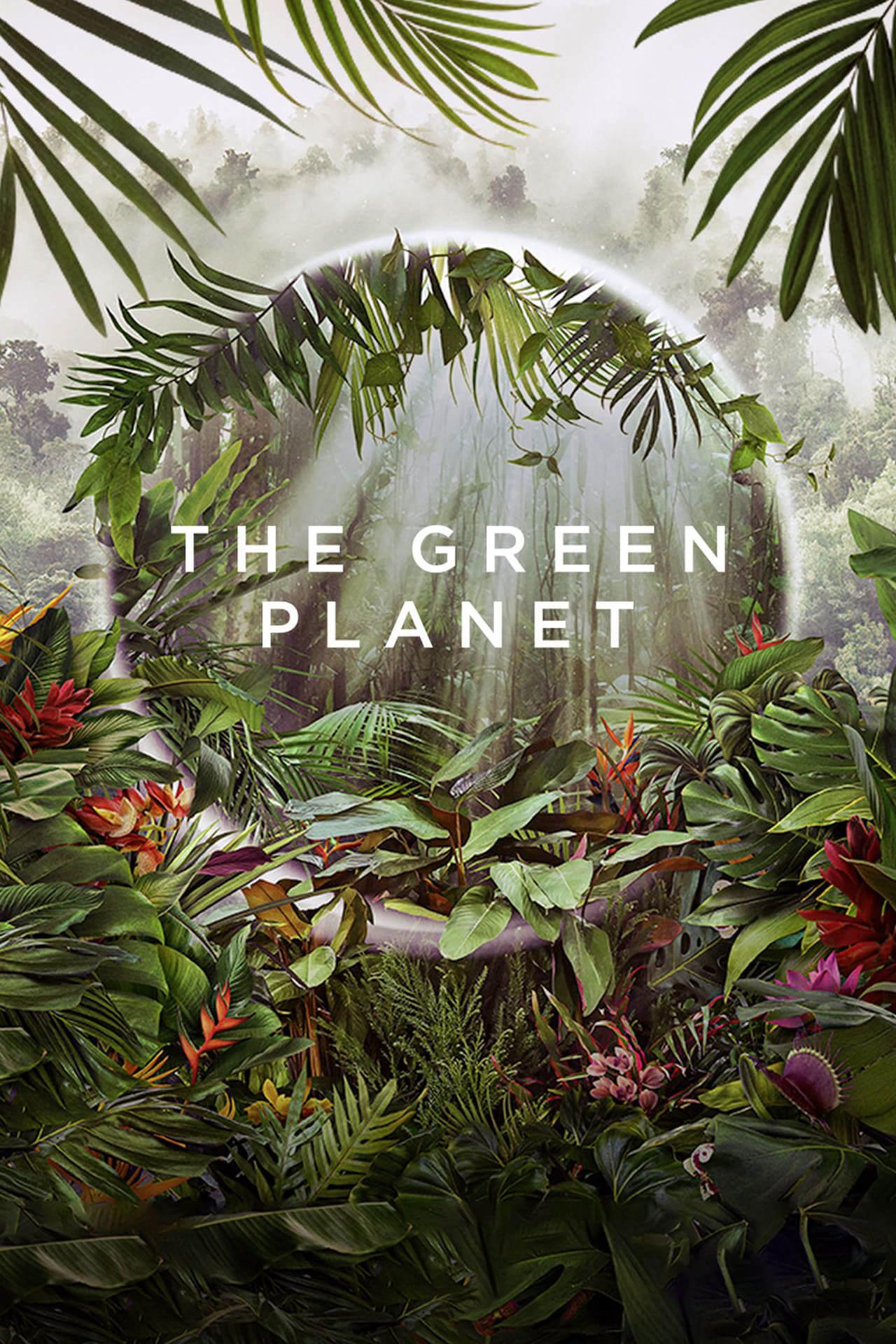 TV ratings for The Green Planet in Australia. BBC One TV series