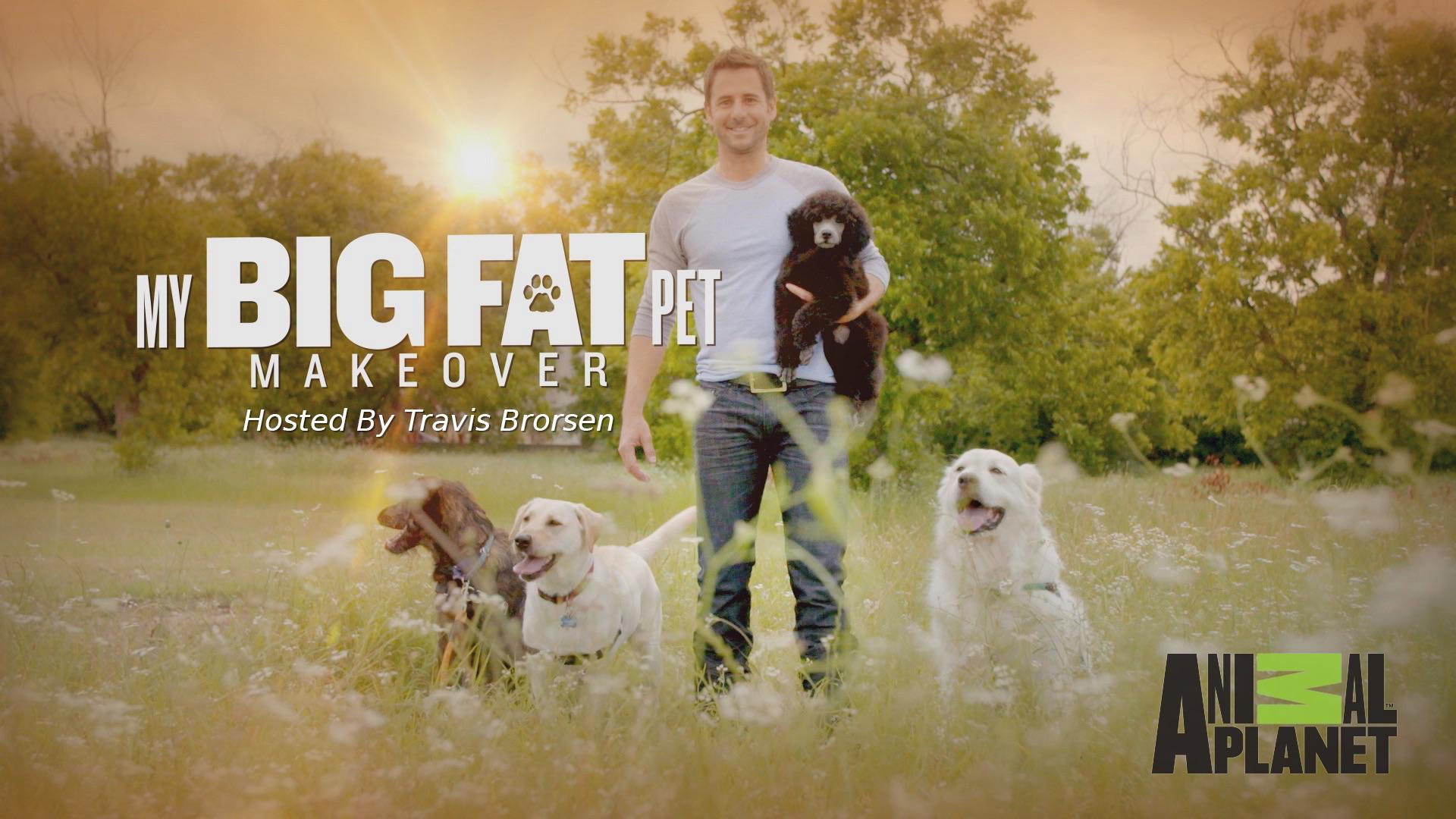 TV ratings for My Big Fat Pet Makeover in Alemania. Animal Planet TV series
