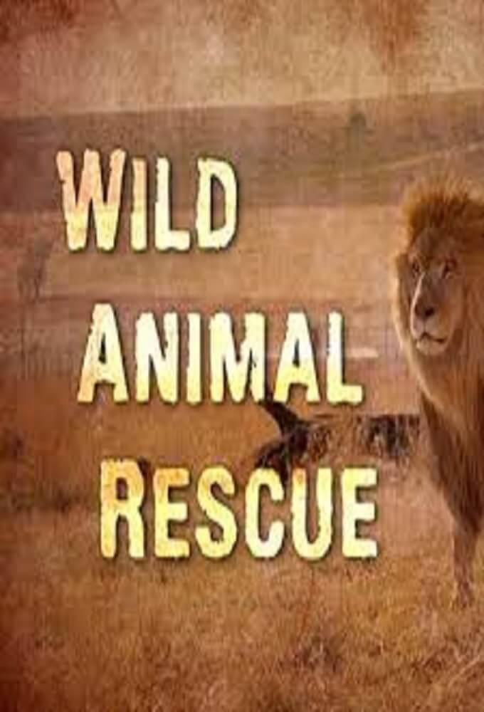 TV ratings for Wild Animal Rescue in Poland. Channel 5 TV series