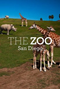 TV ratings for The Zoo: San Diego in South Africa. Animal Planet TV series
