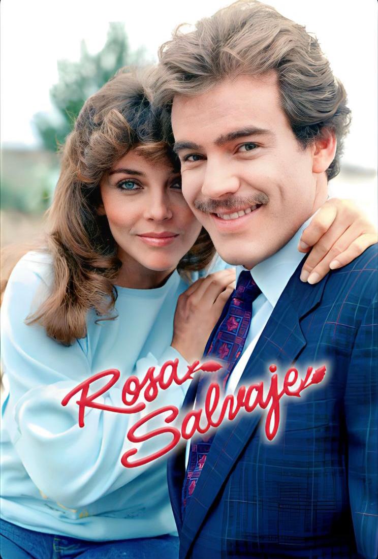 TV ratings for Rosa Salvaje in the United States. Las Estrellas TV series
