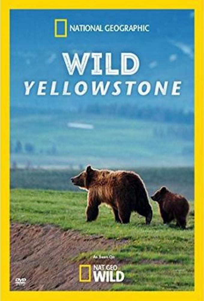 TV ratings for Wild Yellowstone in Japan. Nat Geo Wild TV series