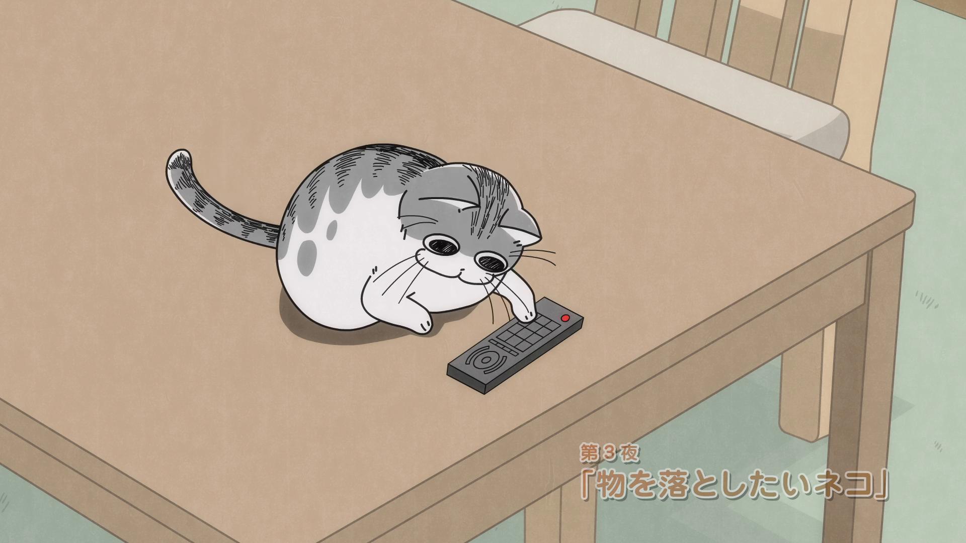 TV ratings for Nights With A Cat (夜は猫といっしょ) in France. Tokyo MX TV series