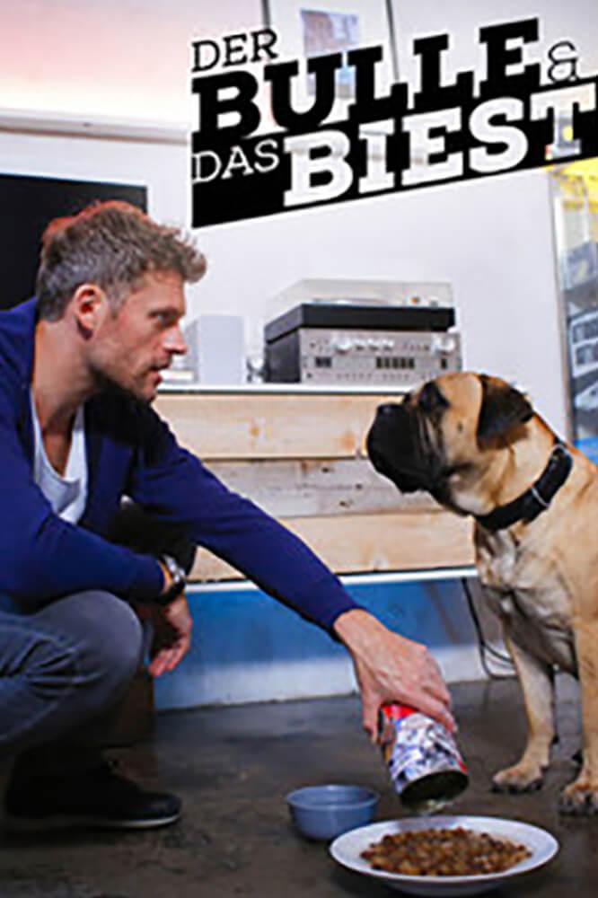 TV ratings for Der Bulle Und Das Biest in Denmark. Sat.1 TV series