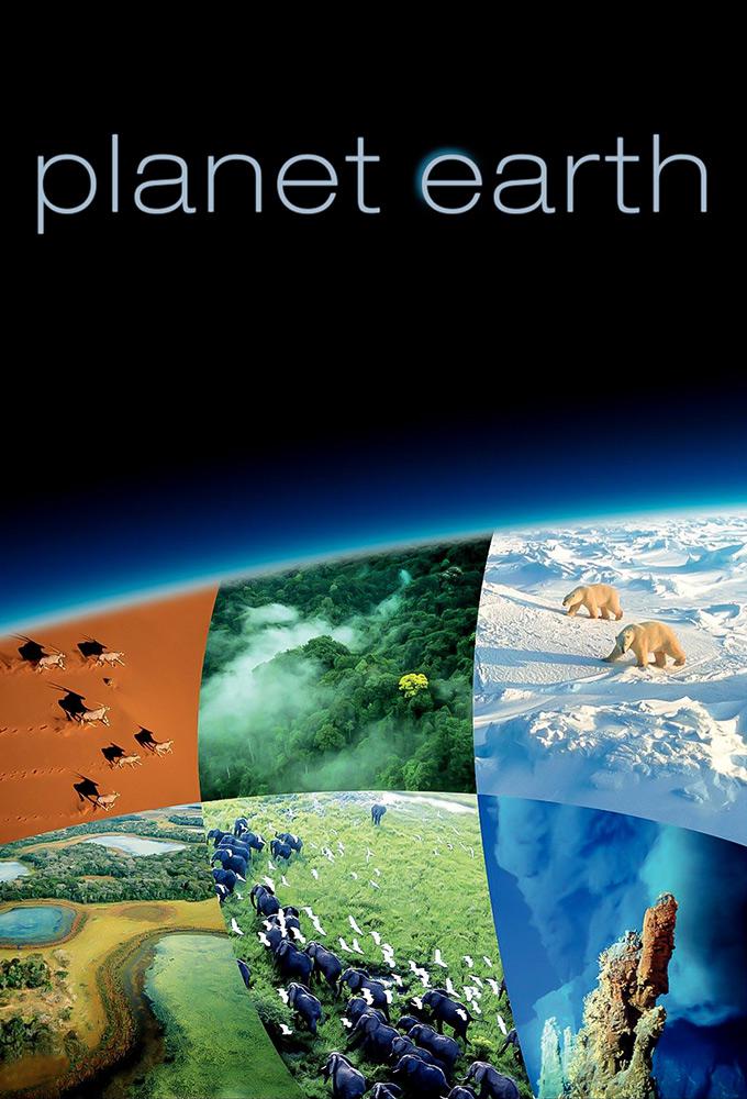 TV ratings for Planet Earth in Poland. BBC One TV series