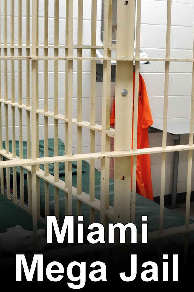 TV ratings for Louis Theroux: Miami Mega Jail in Países Bajos. British Broadcasting Corporation (BBC) TV series