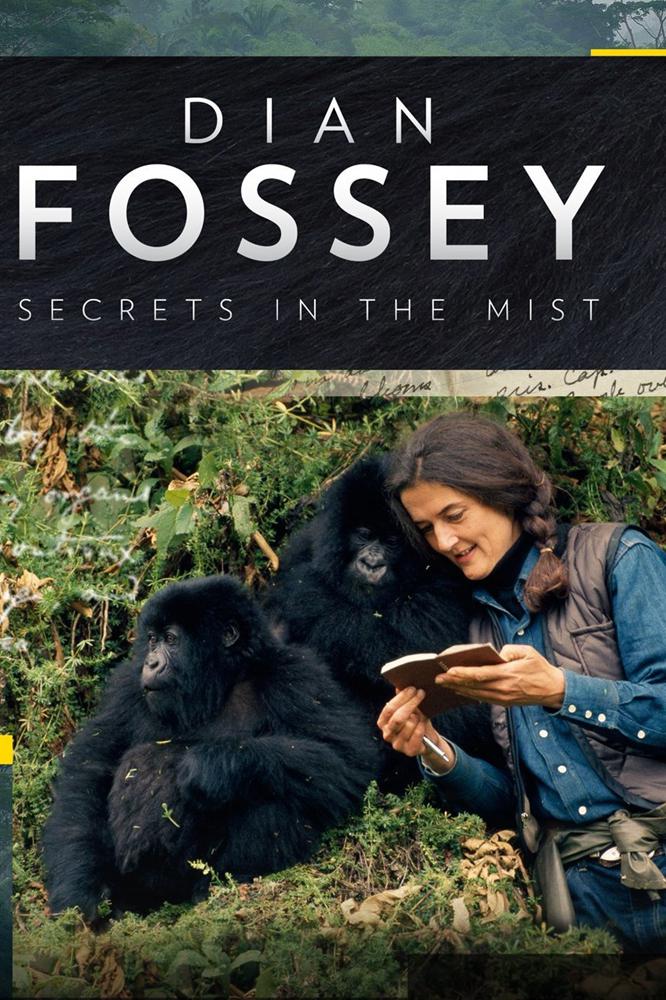 TV ratings for Dian Fossey: Secrets In The Mist in Corea del Sur. National Geographic TV series
