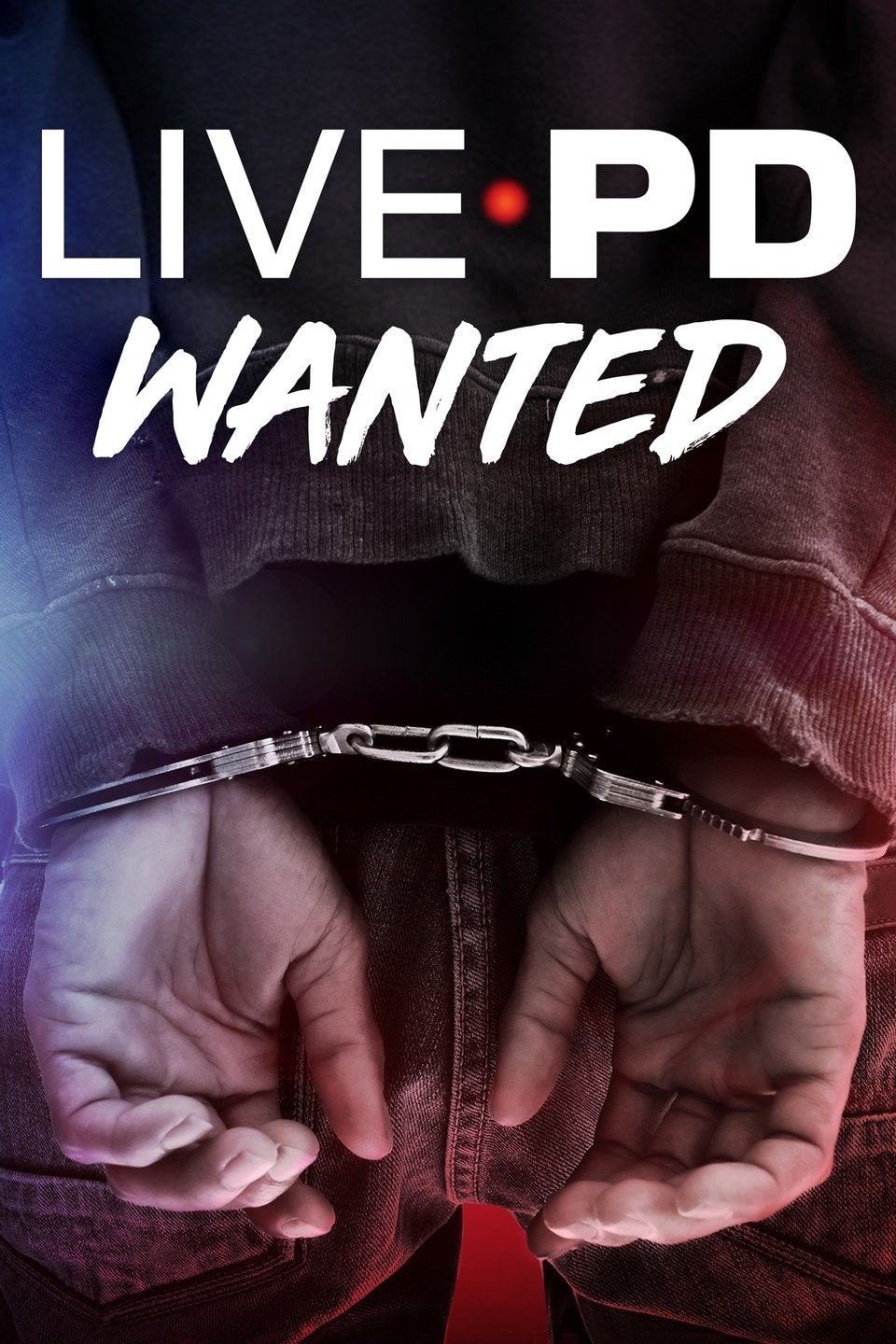 TV ratings for Live Pd: Wanted in Sudáfrica. a&e TV series
