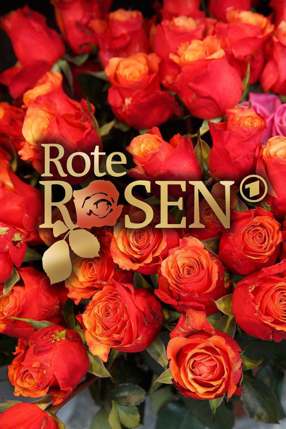 TV ratings for Rote Rosen in the United States. Das Erste TV series