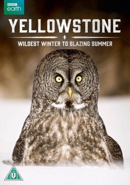 TV ratings for Yellowstone: Wildest Winter To Blazing Summer in the United States. Polyband TV series