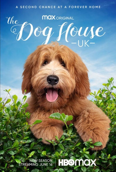 TV ratings for The Dog House in Netherlands. Channel 4 TV series