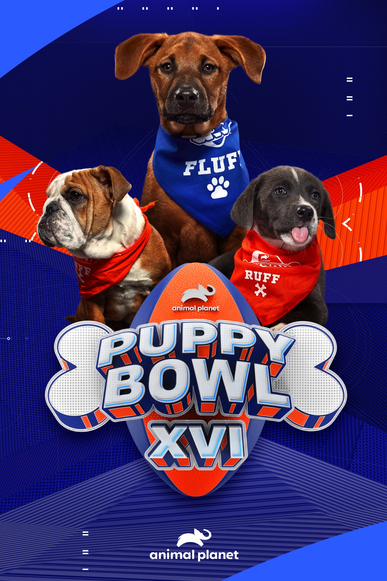 TV ratings for Puppy Bowl in Canada. Animal Planet TV series