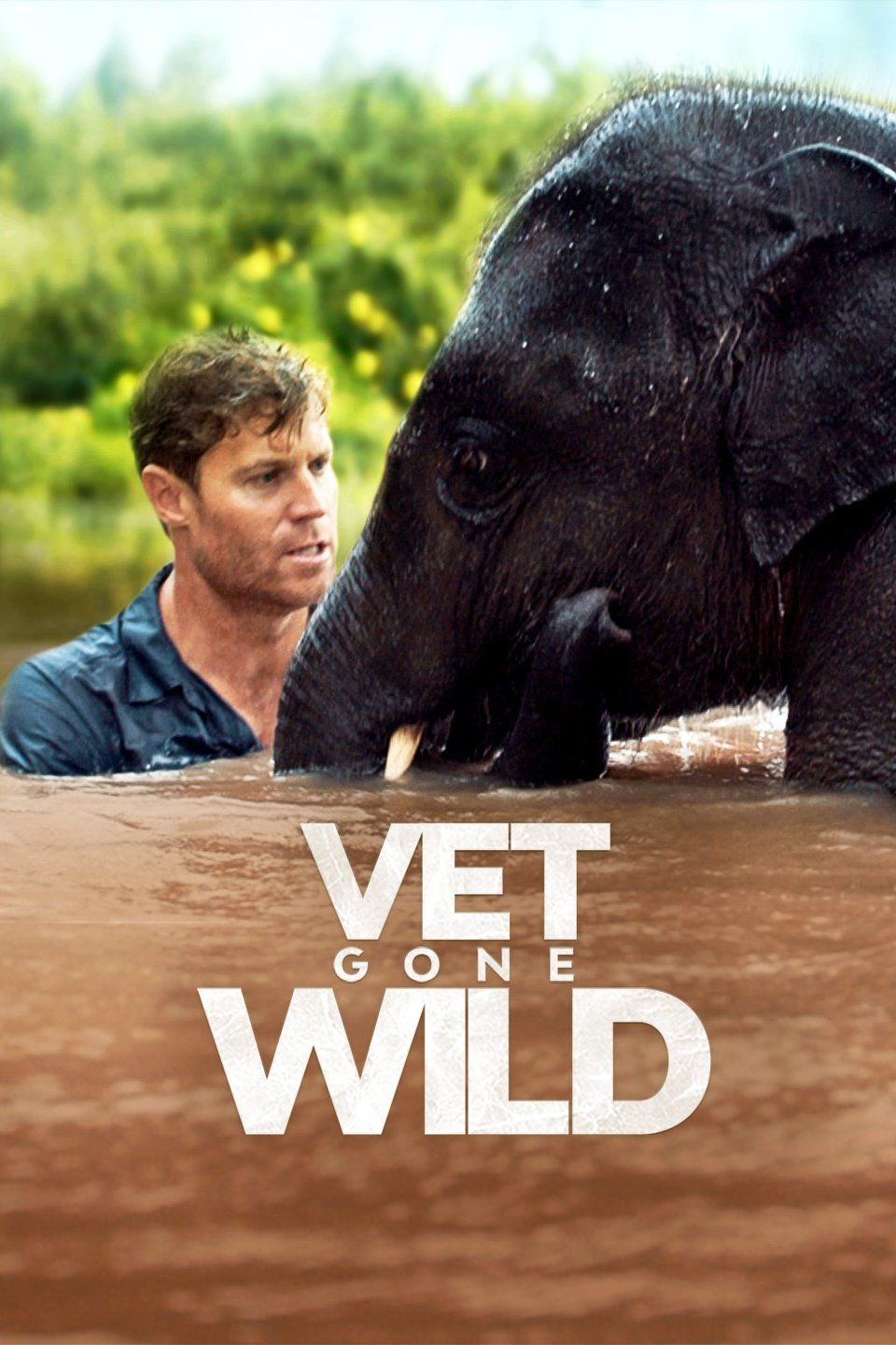 TV ratings for Vet Gone Wild in South Korea. Animal Planet TV series