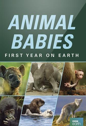 TV ratings for Animal Babies: First Year On Earth in the United States. BBC Two TV series