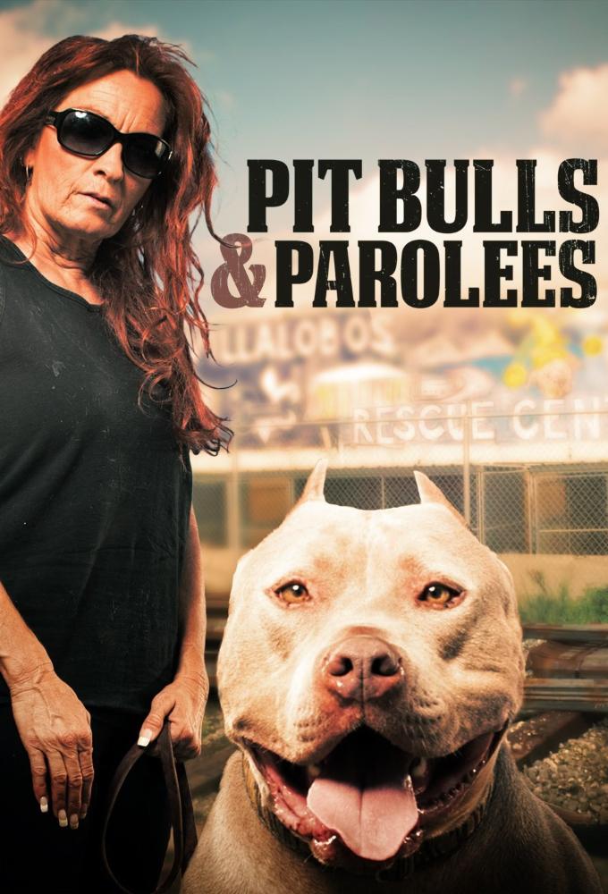 TV ratings for Pit Bulls And Parolees in Brazil. Animal Planet TV series
