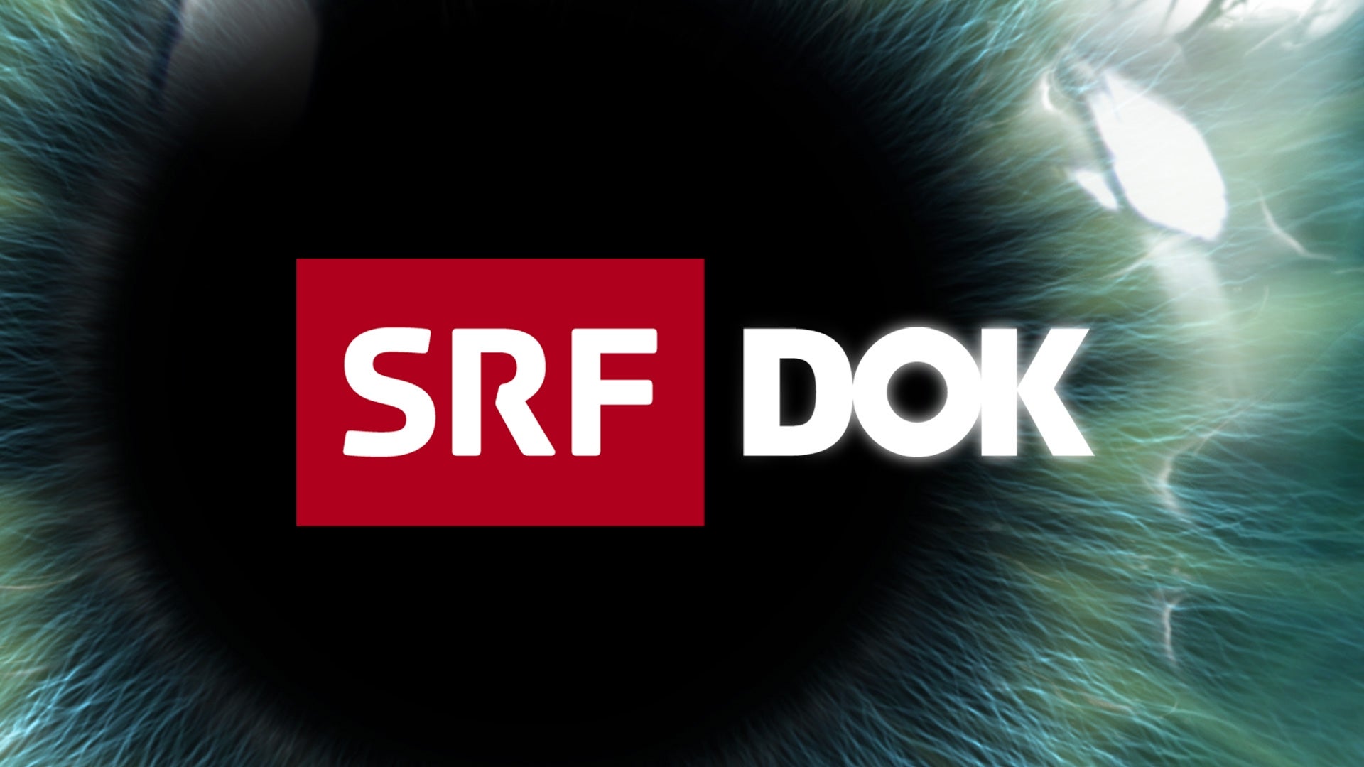 TV ratings for Srf Doc in Corea del Sur. SRF TV series