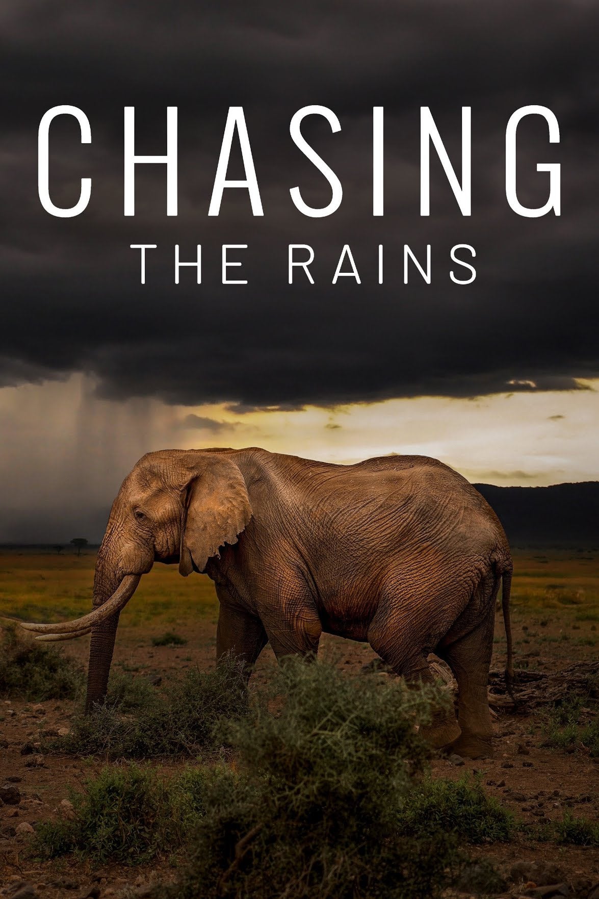 TV ratings for Chasing The Rains in Chile. BBC America TV series