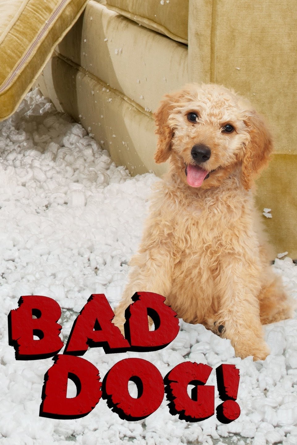 TV ratings for Bad Dog! in Turkey. Animal Planet TV series