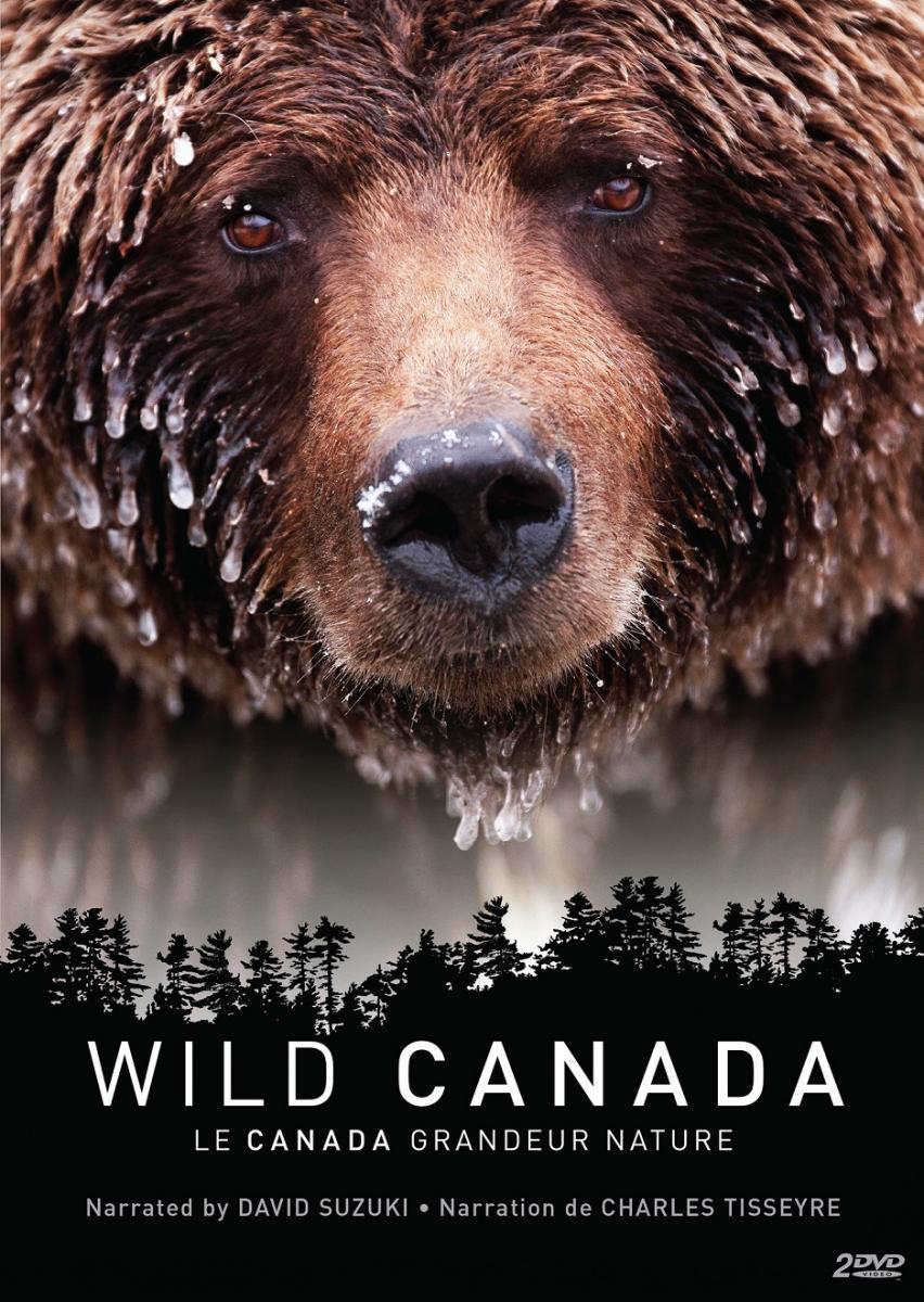 TV ratings for Wild Canada in Denmark. CBC Television TV series