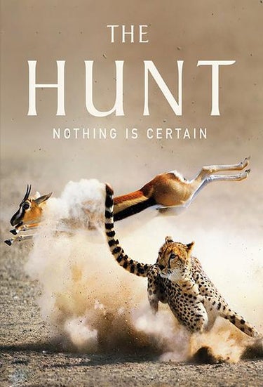 David Attenborough's The Hunt