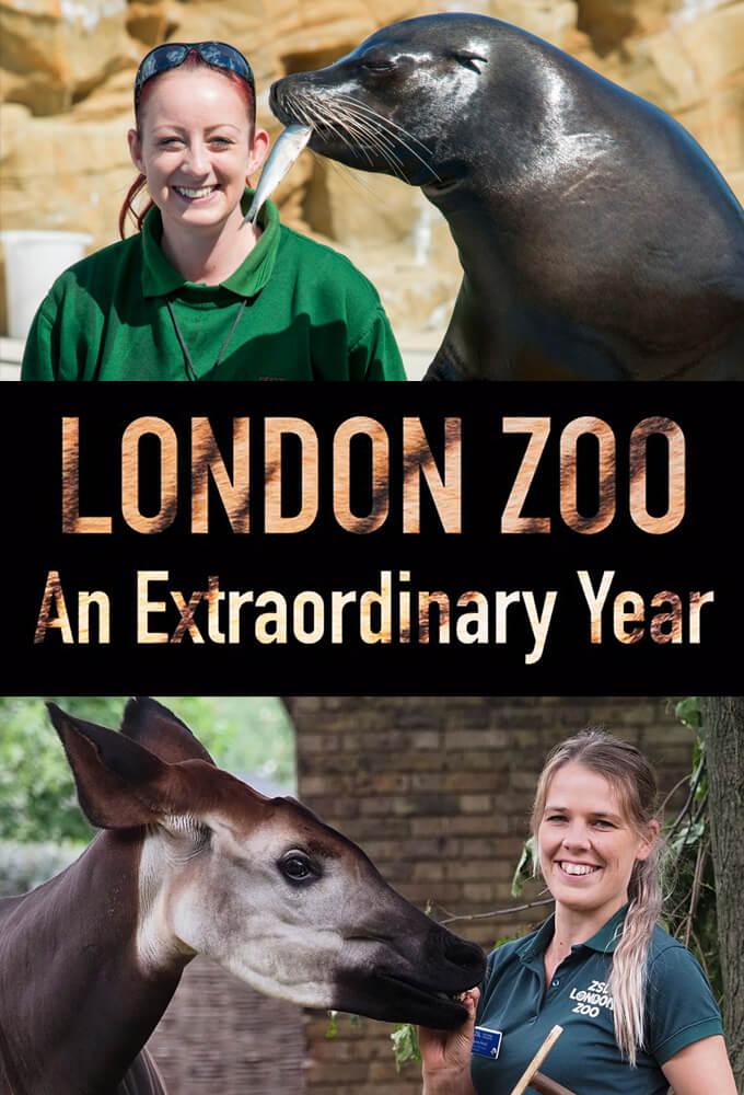 TV ratings for London Zoo: An Extraordinary Year in Canada. ITV TV series