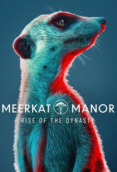 Meerkat Manor: Rise Of The Dynasty