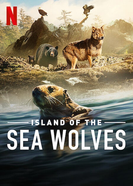 TV ratings for Island Of The Sea Wolves in Irlanda. Netflix TV series