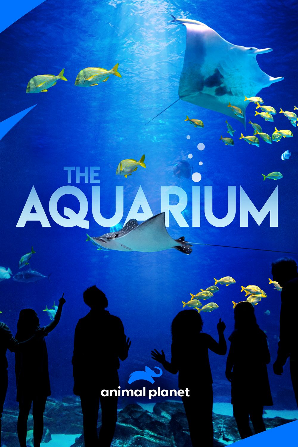 TV ratings for The Aquarium in the United States. Animal Planet TV series