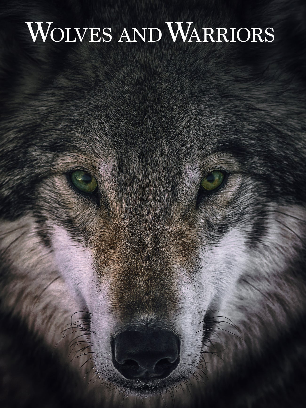 TV ratings for Wolves & Warriors in Japan. Animal Planet TV series