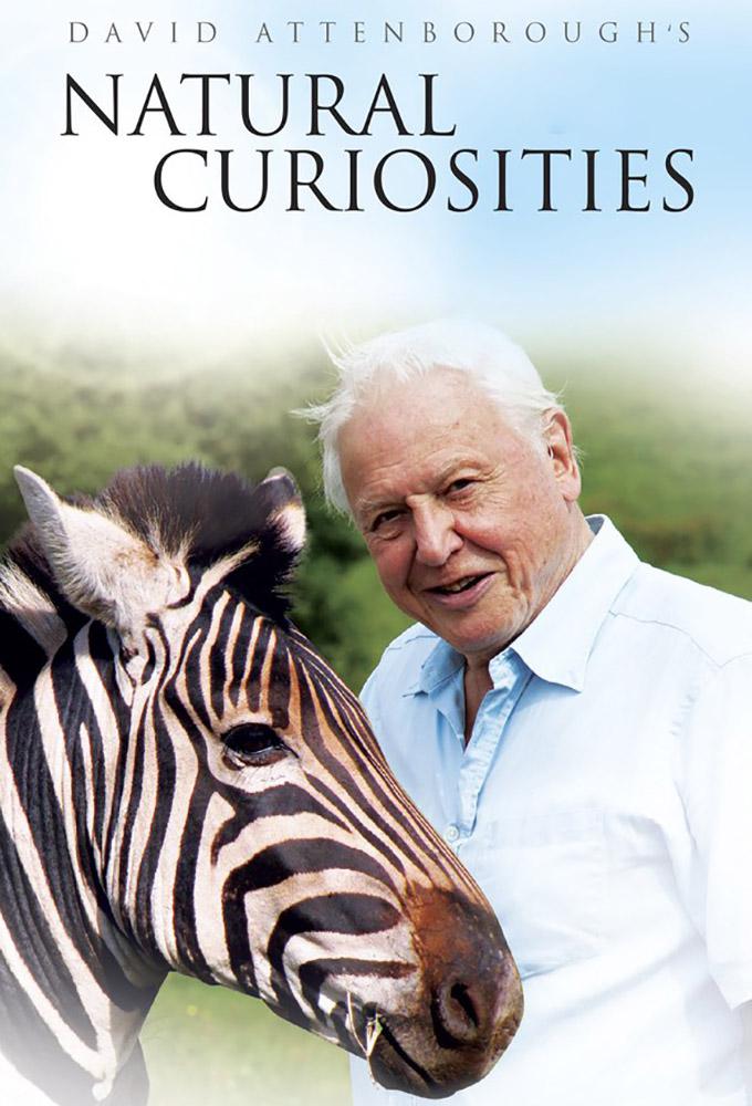 TV ratings for David Attenborough's Natural Curiosities in Brazil. Watch TV series